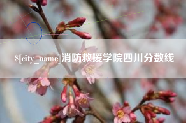 桓台消防救援学院四川分数线