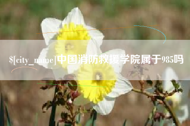 桓台中国消防救援学院属于985吗