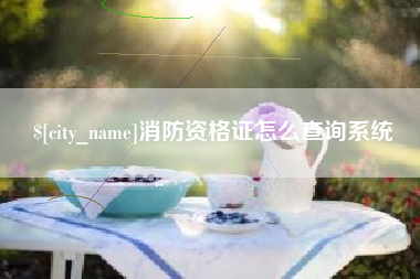 桓台消防资格证怎么查询系统