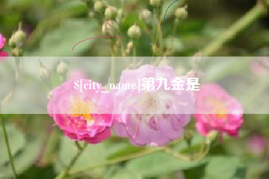 桓台第九金是