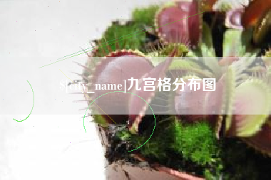 桓台九宫格分布图