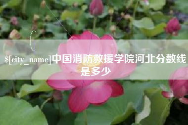 桓台中国消防救援学院河北分数线是多少