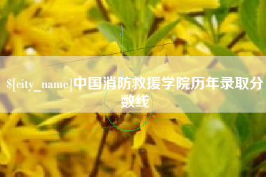 桓台中国消防救援学院历年录取分数线