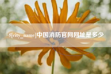 桓台中国消防官网网址是多少