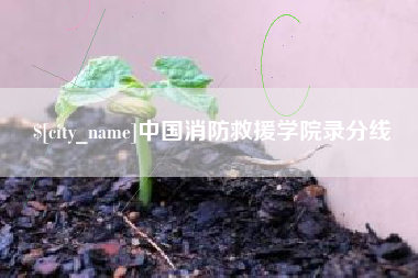 桓台中国消防救援学院录分线