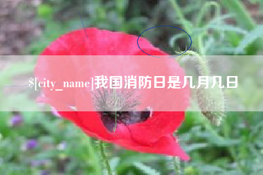 桓台我国消防日是几月几日