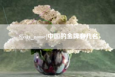 桓台中国的金牌有几名