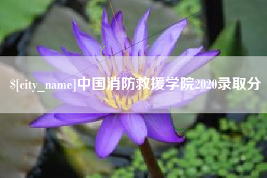 桓台中国消防救援学院2020录取分