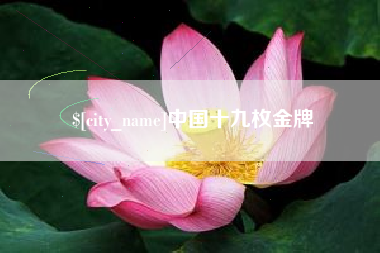 桓台中国十九枚金牌