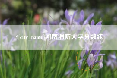 桓台河南消防大学分数线