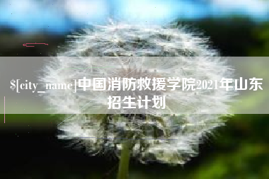 桓台中国消防救援学院2021年山东招生计划