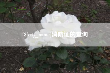 桓台消防证的查询