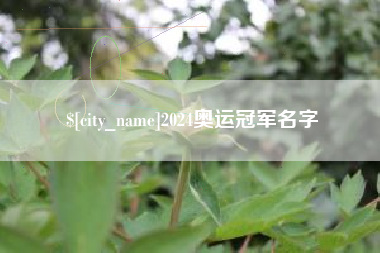 桓台2024奥运冠军名字