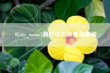 桓台消防证初级查询系统