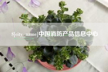 桓台中国消防产品信息中心