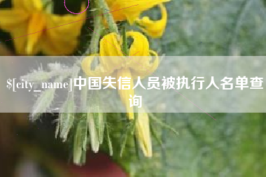 桓台中国失信人员被执行人名单查询