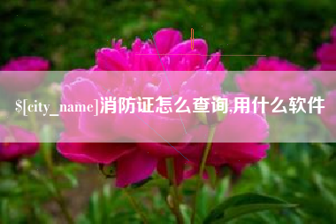 桓台消防证怎么查询,用什么软件