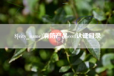 桓台消防产品cccf认证目录