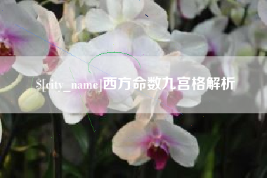 桓台西方命数九宫格解析