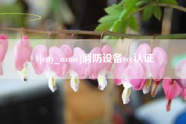 桓台消防设备ccc认证