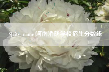 桓台河南消防学校招生分数线