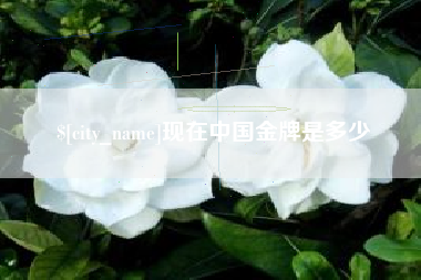 桓台现在中国金牌是多少