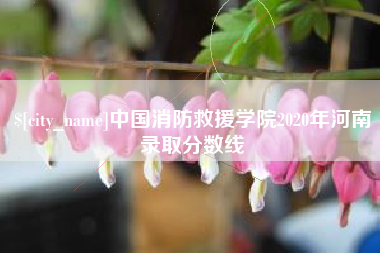 桓台中国消防救援学院2020年河南录取分数线