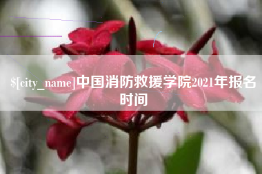 桓台中国消防救援学院2021年报名时间