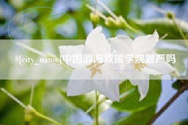桓台中国消防救援学院管严吗