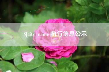 桓台执行信息公示