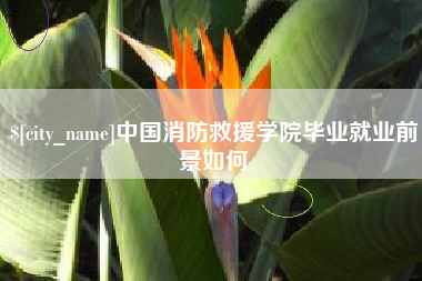 桓台中国消防救援学院毕业就业前景如何