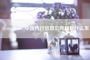 桓台中国执行信息公开网是什么东西