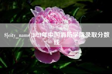 桓台2021年中国消防学院录取分数线