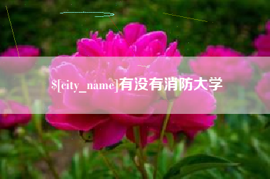 桓台有没有消防大学