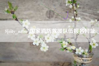 桓台国家消防救援队伍报名网址