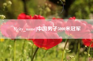 桓台中国男子5000米冠军
