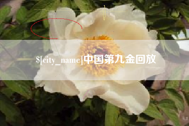 桓台中国第九金回放