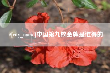 桓台中国第九枚金牌是谁得的