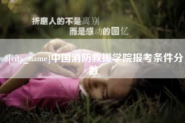 桓台中国消防救援学院报考条件分数