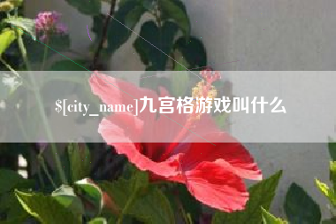 桓台九宫格游戏叫什么