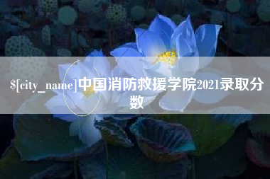 桓台中国消防救援学院2021录取分数