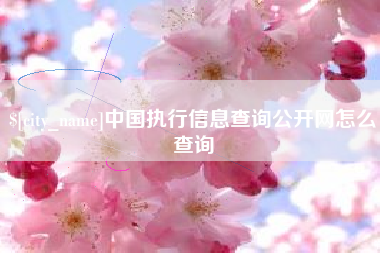 桓台中国执行信息查询公开网怎么查询