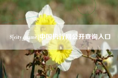 桓台中国执行网公开查询入口