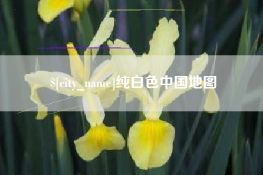 桓台纯白色中国地图