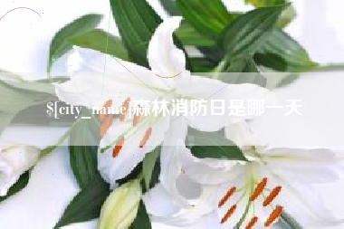 桓台森林消防日是哪一天