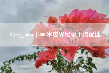 桓台5000米世界纪录平均配速