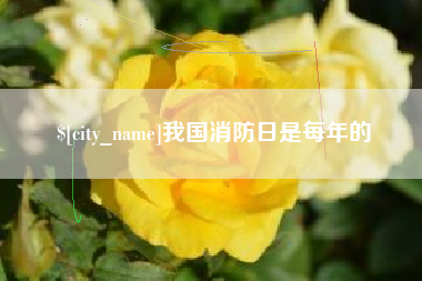 桓台我国消防日是每年的