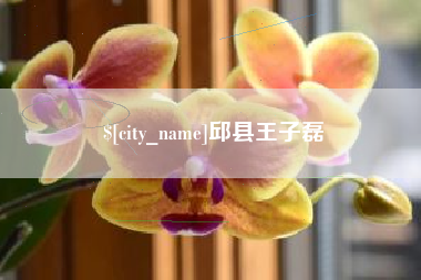 桓台邱县王子磊