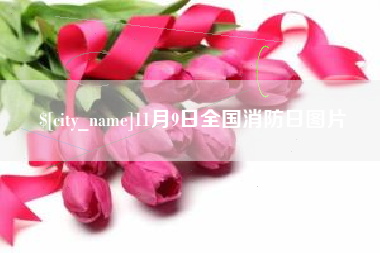 桓台11月9日全国消防日图片