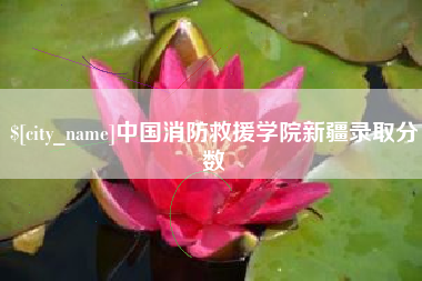 桓台中国消防救援学院新疆录取分数